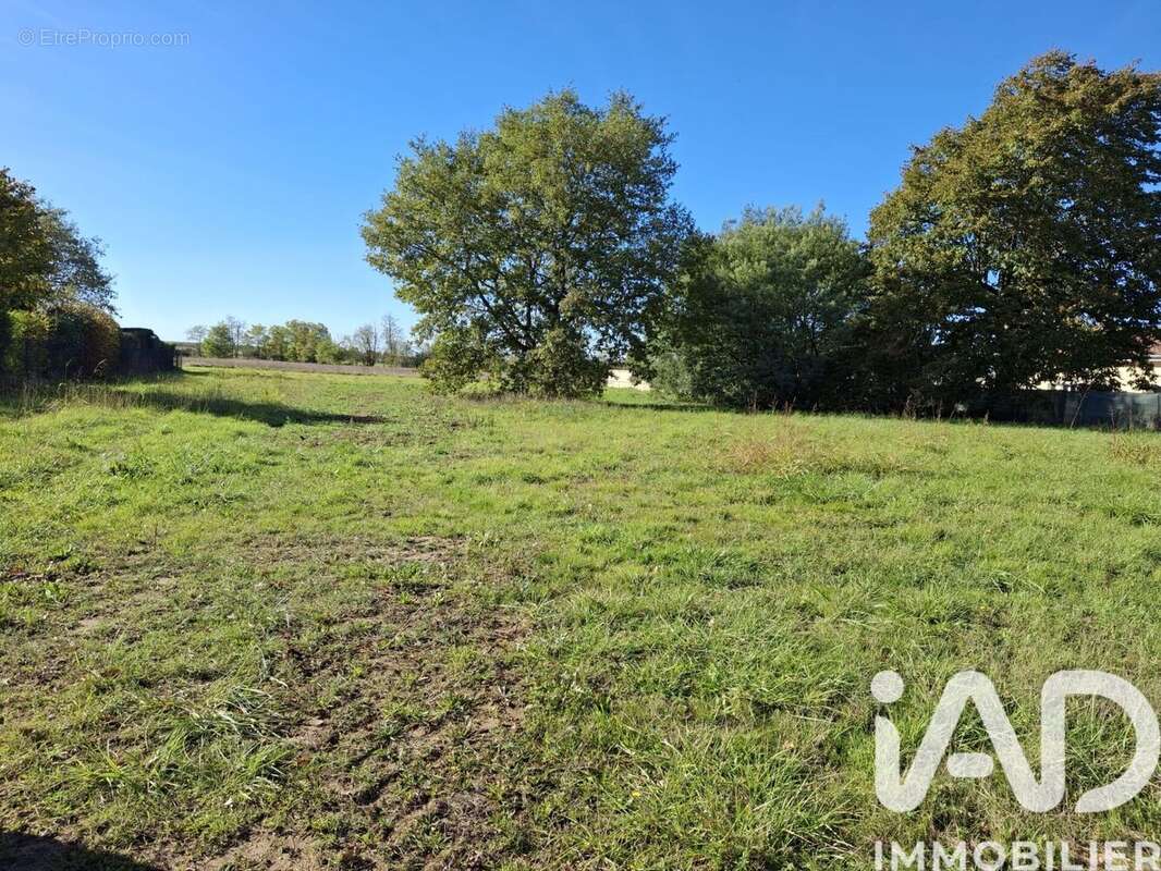 Photo 3 - Terrain à BRESSOLS