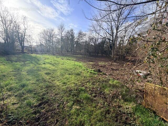 Terrain à PARIGNY-LES-VAUX