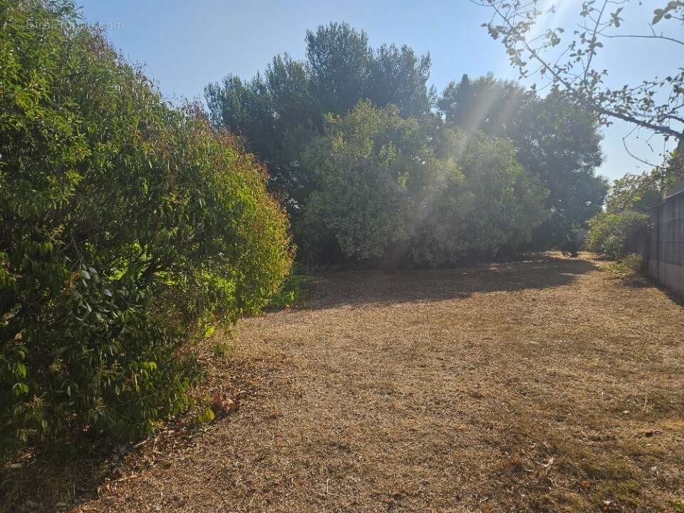 Terrain 450 m² à Les Pennes-Mirabeau  - photo 5