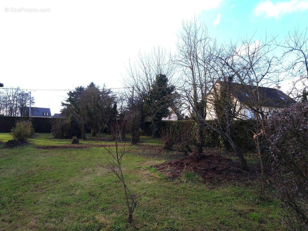 Photo 4 - Terrain à LOUVIGNE-DE-BAIS