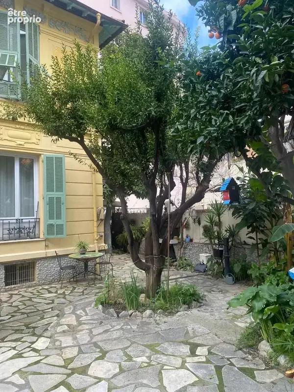 Saint sylvestre/le ray - photo 19