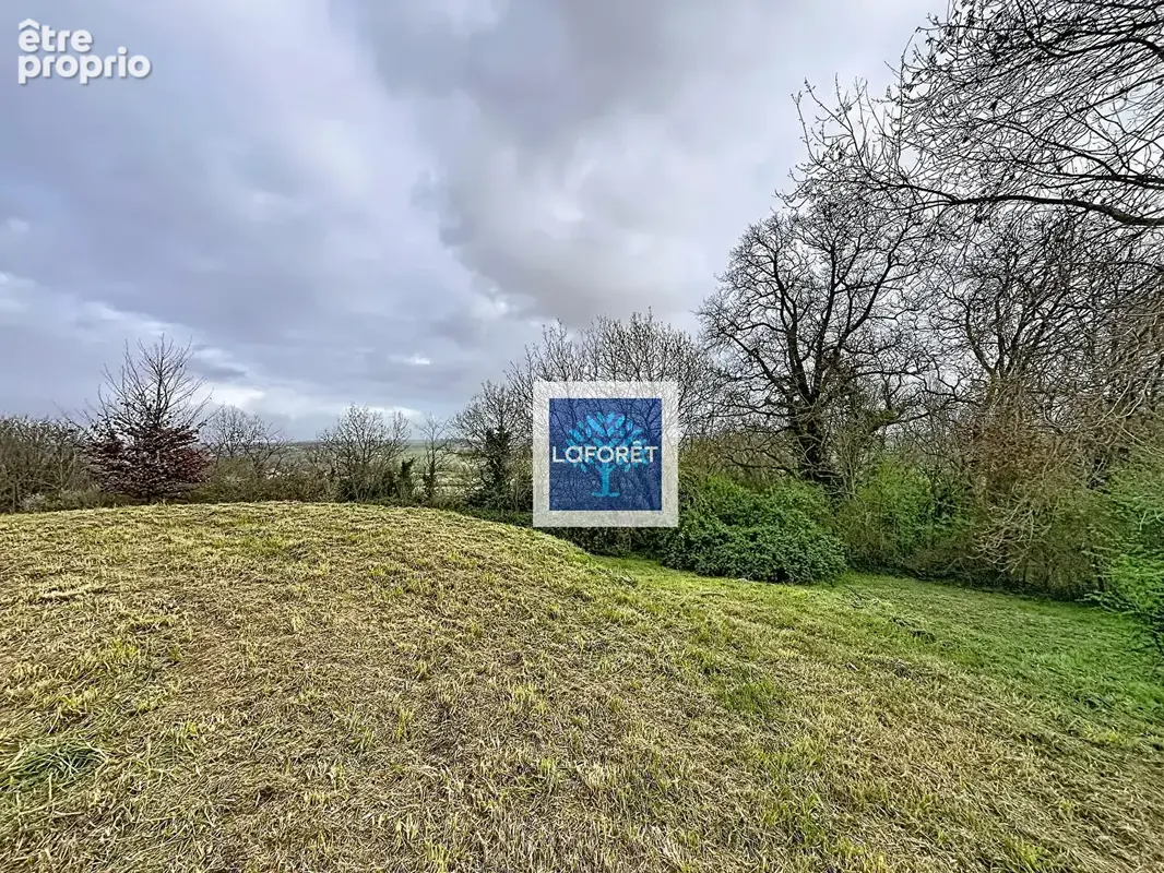 Maison de plain-pied avec 3 suites parentales, spa et garage au calme - photo 10