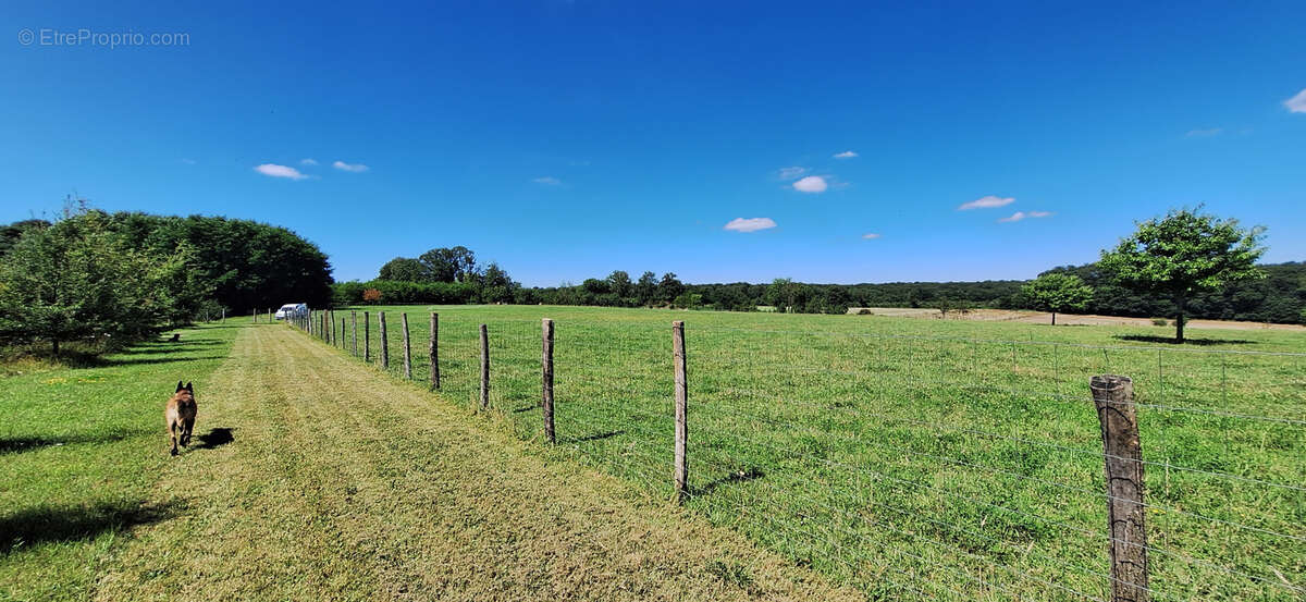 Maison à BUSSY-EN-OTHE