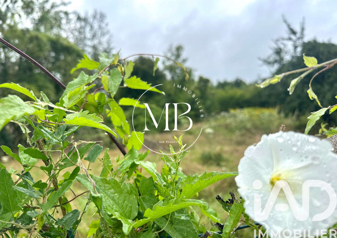 Photo 3 - Terrain à PRESLES