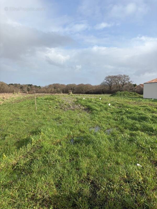 Terrain à LA PLAINE-SUR-MER