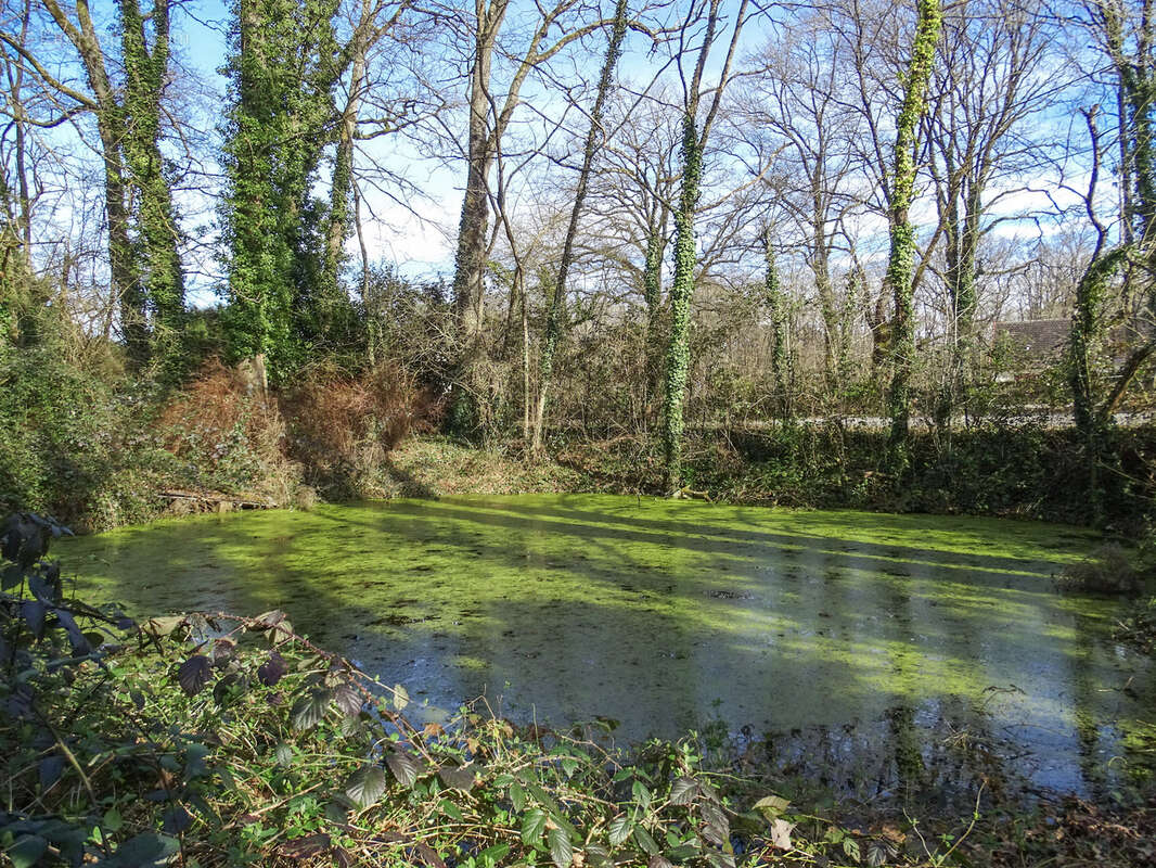 Maison à VILLEFRANCHE-SUR-CHER