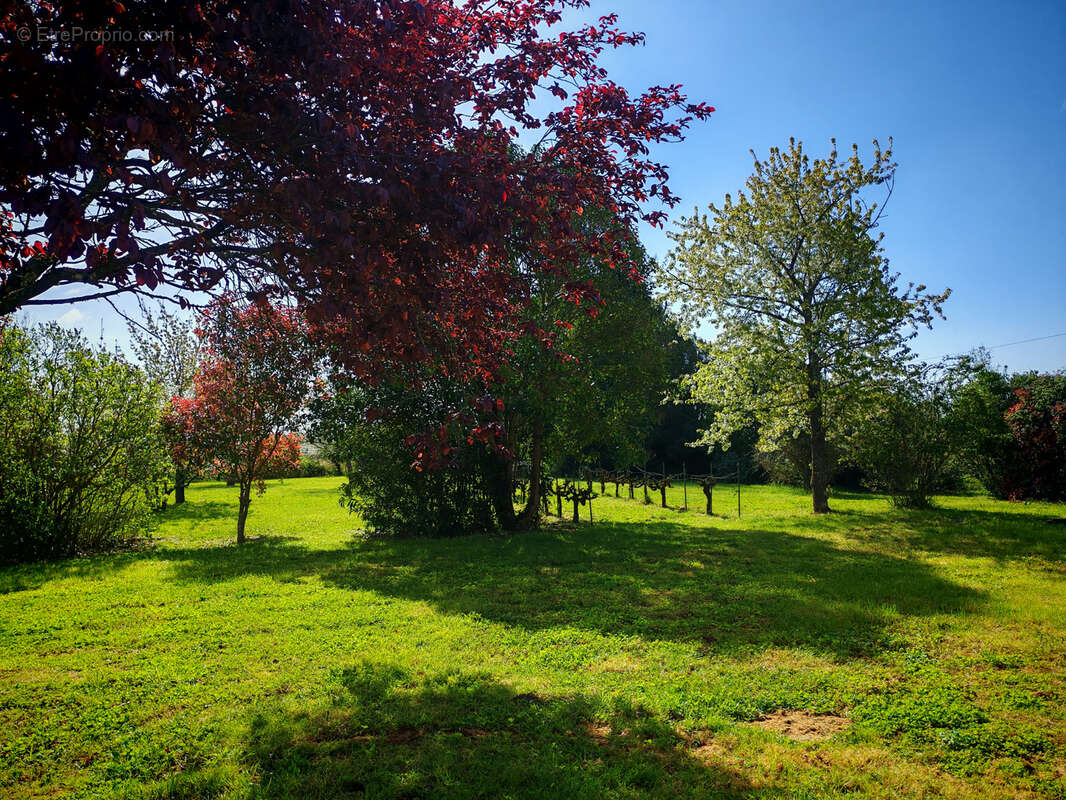 Maison à LISLE-SUR-TARN