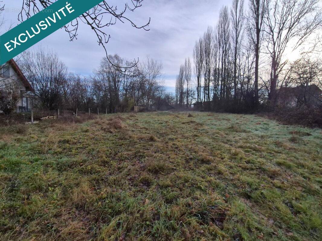 Photo 1 - Terrain à SENTHEIM