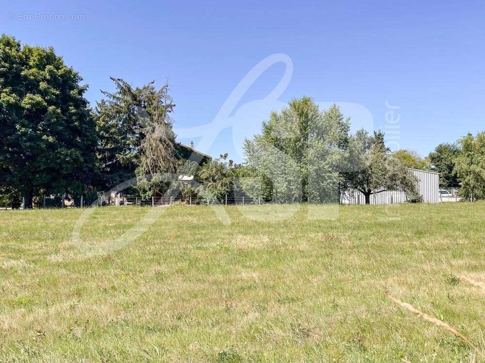 Terrain à bâtir (Lot 5) - Terrain à LONGECHENAL