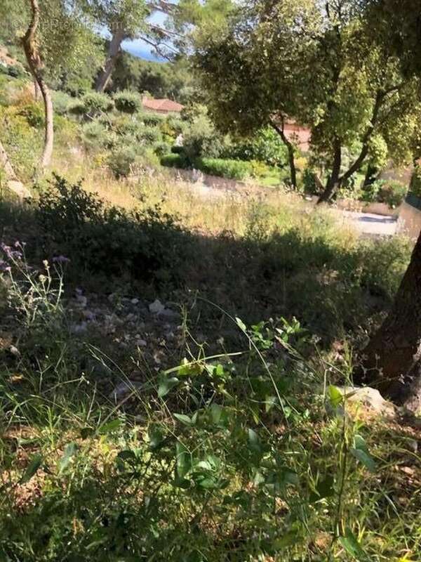 Photo 3 - Terrain à LA VALETTE-DU-VAR