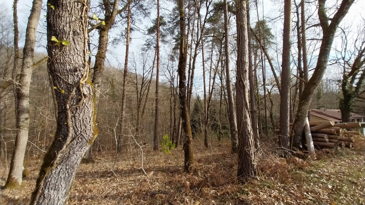 Terrain à CHANCELADE