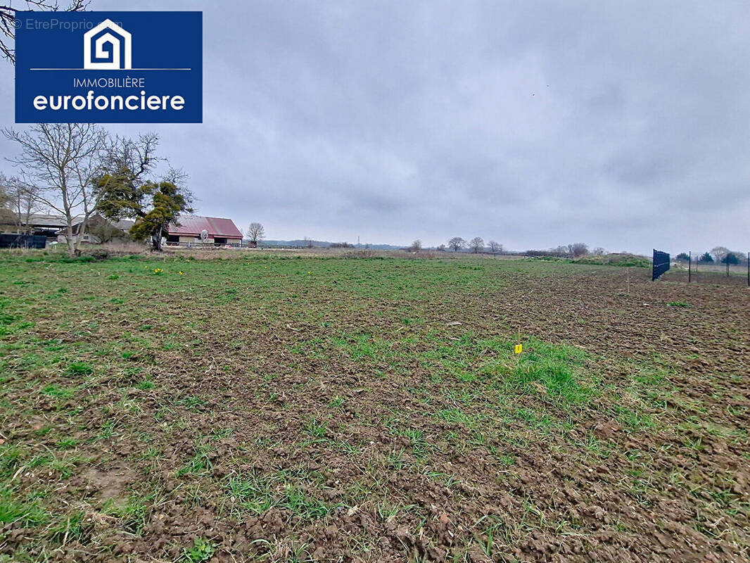 Terrain à LES BORDES-AUMONT