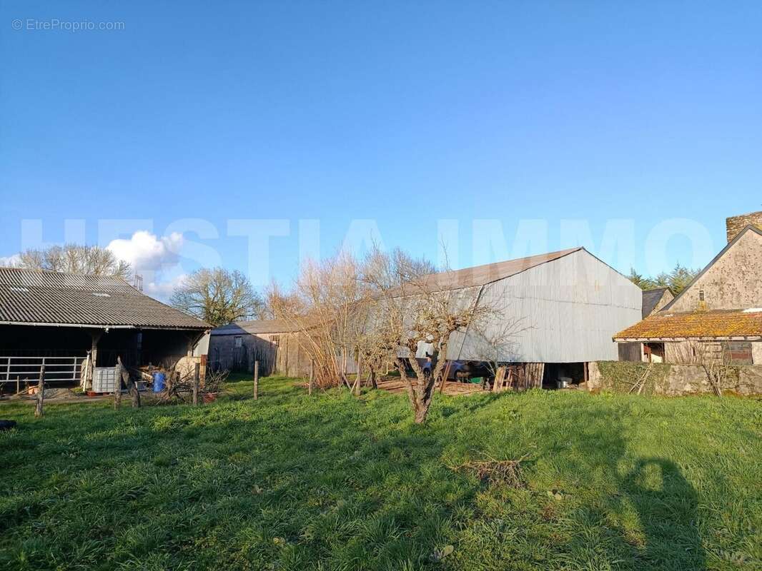 823918763522485519 - Maison à SAINT-HERBLON