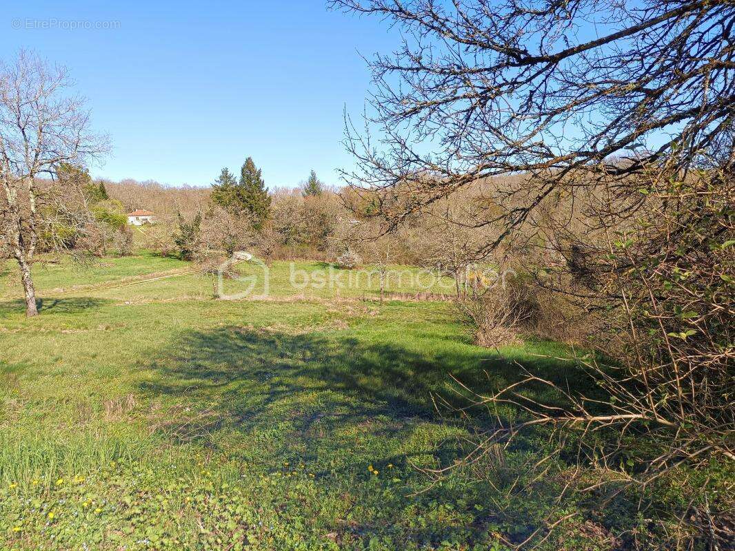 Grand terrain à bâtir de 4 689 m² à Tourtoirac - photo 2