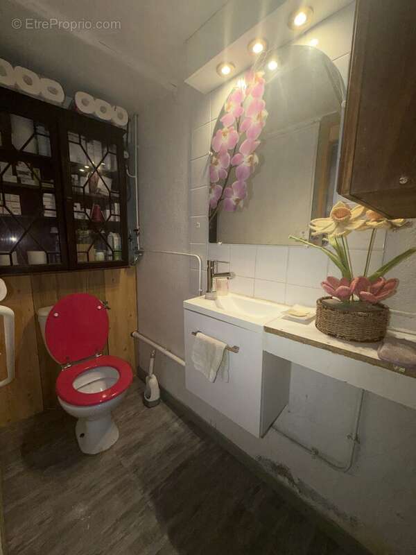 wc avec lave-main (rdc)