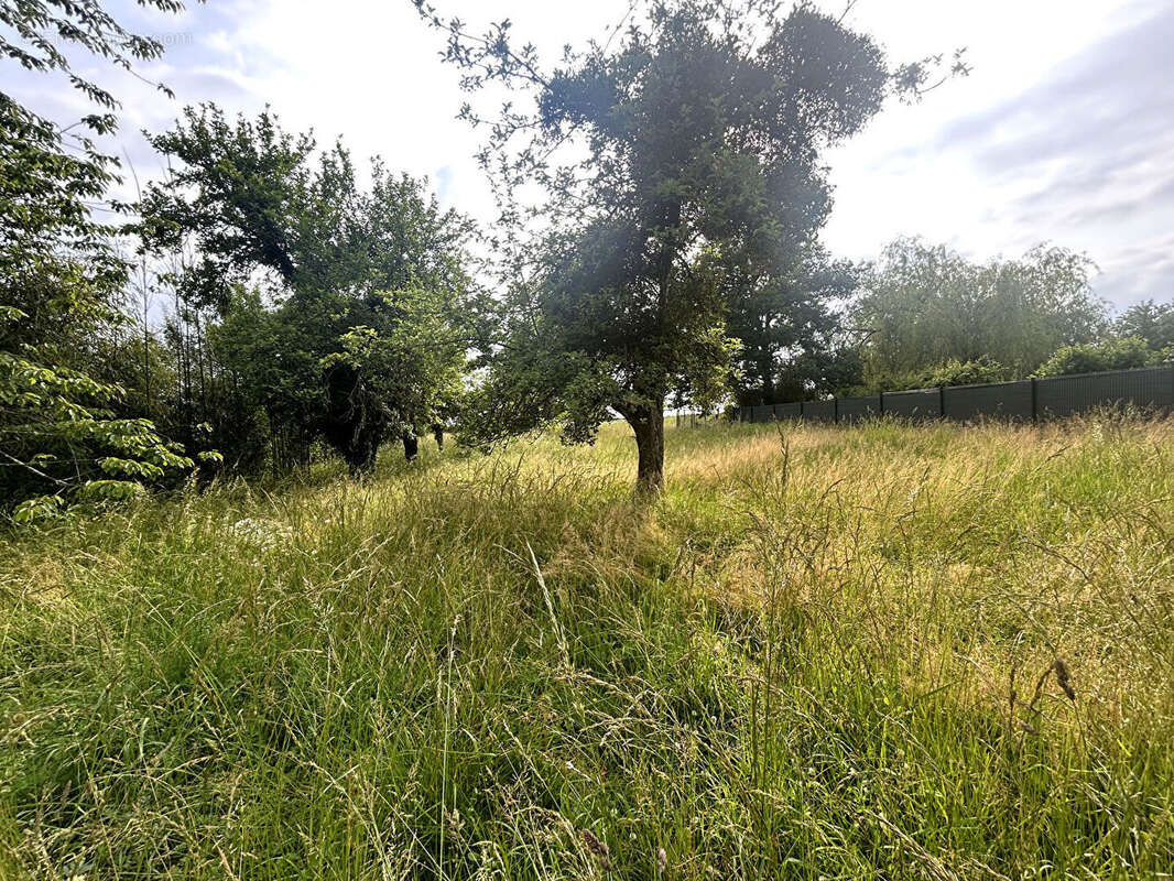 Maison à SOUGY-SUR-LOIRE