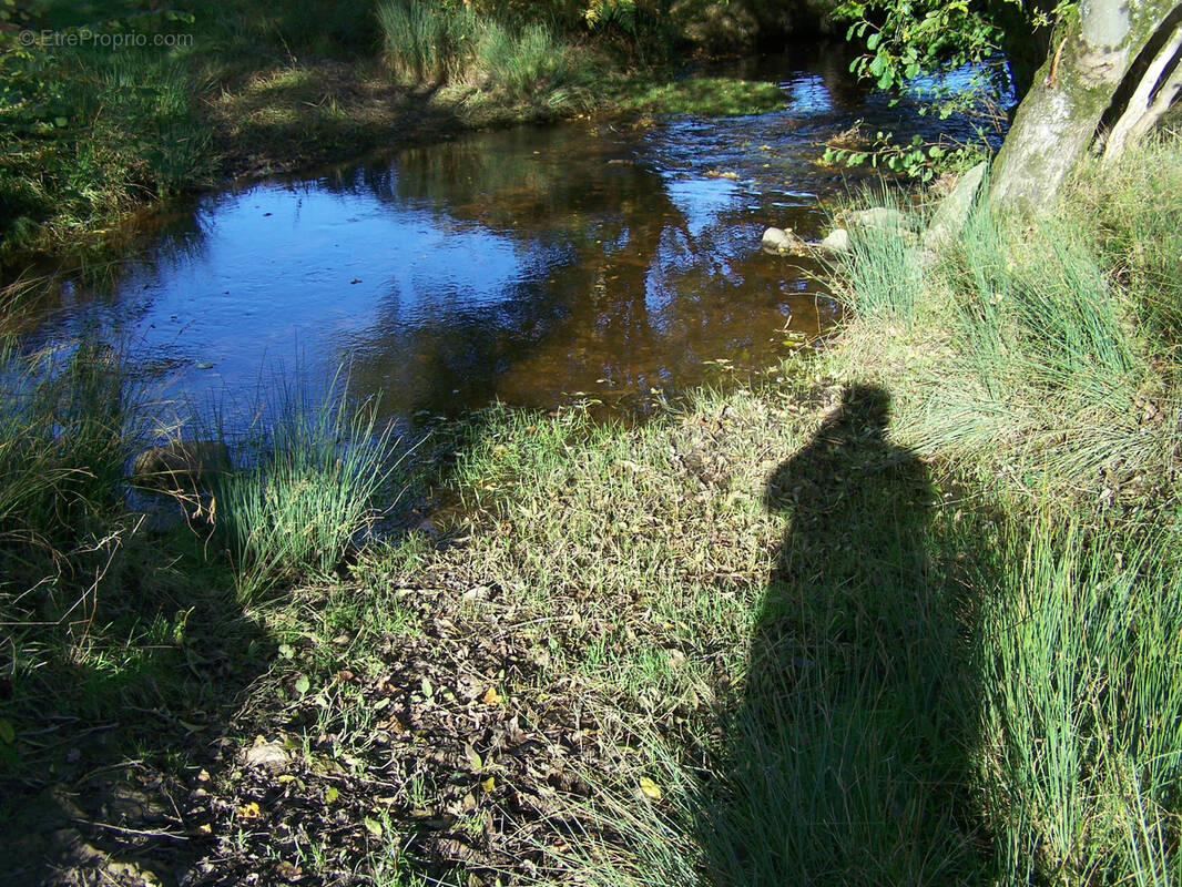 Terrain à LUSSAC-LES-EGLISES