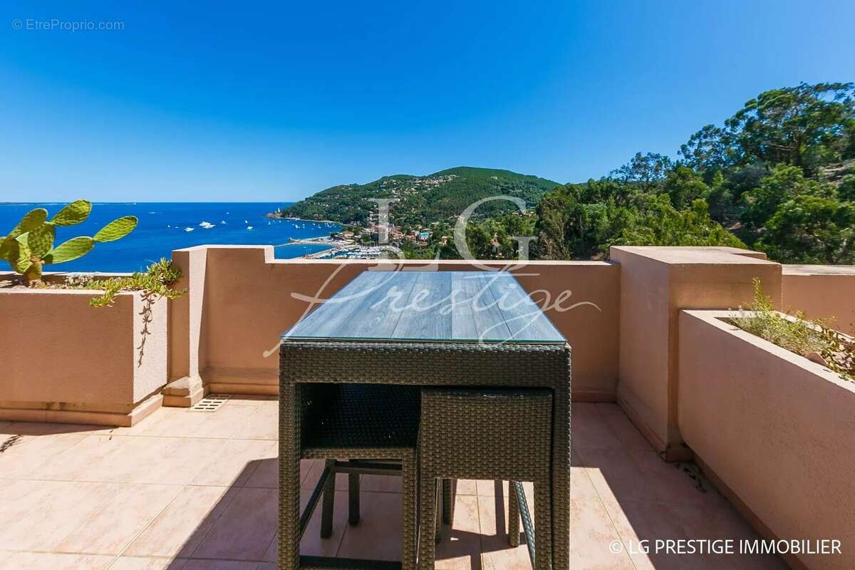 Vue panoramique Mer et Estérel - photo 10