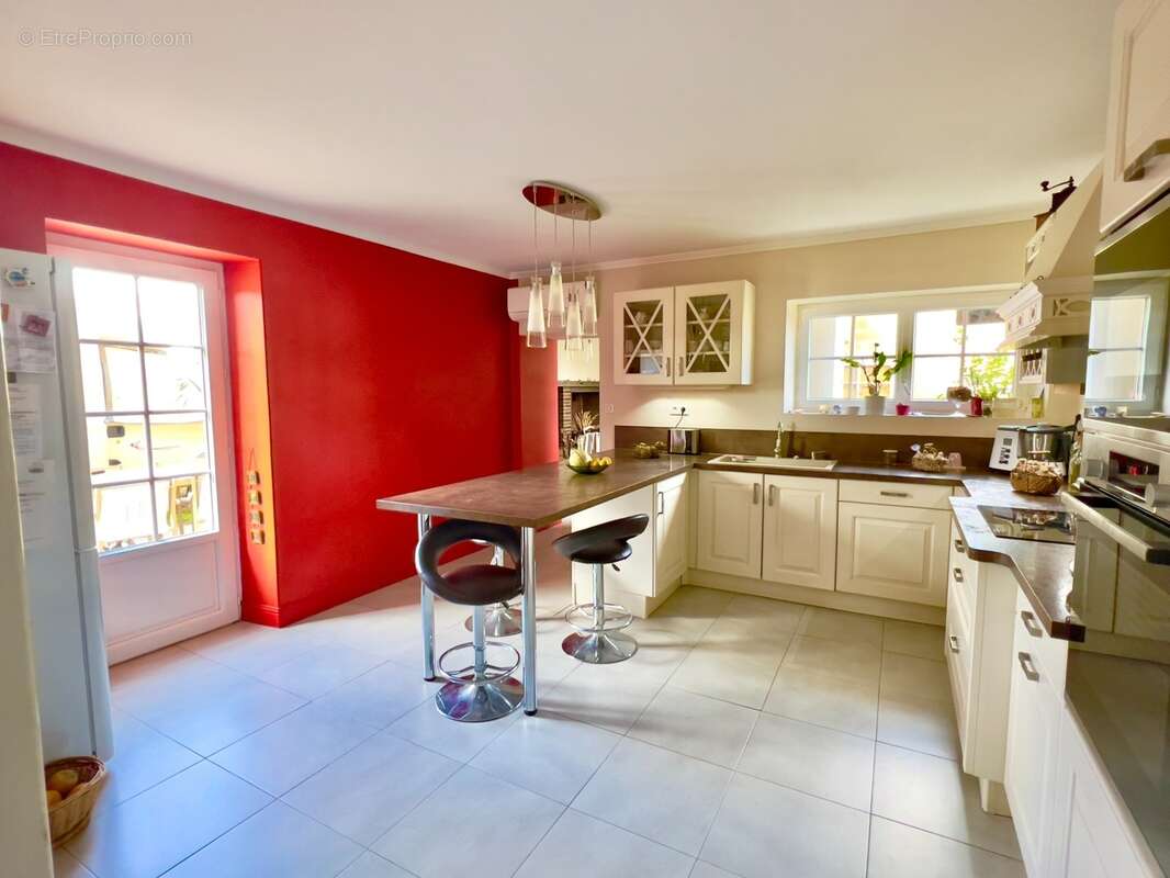 Maison 6 pièces 253m² - 5 chambres - Ancien chai - Bodega - Terrain 20 000m² - SAINT SEVER (40) - photo 4