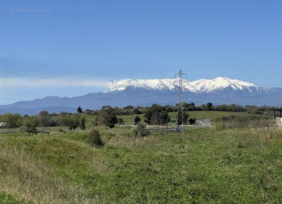 Terrain 413 m² à Perpignan  - photo 2