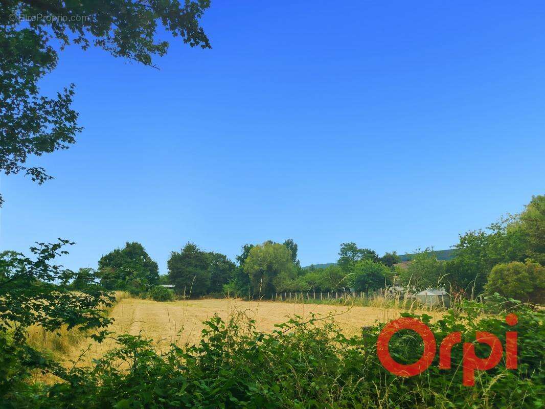 À Vendre : Terrain à Bâtir de 2475 m² – Saint-Amand-Montrond (18200) - photo 2