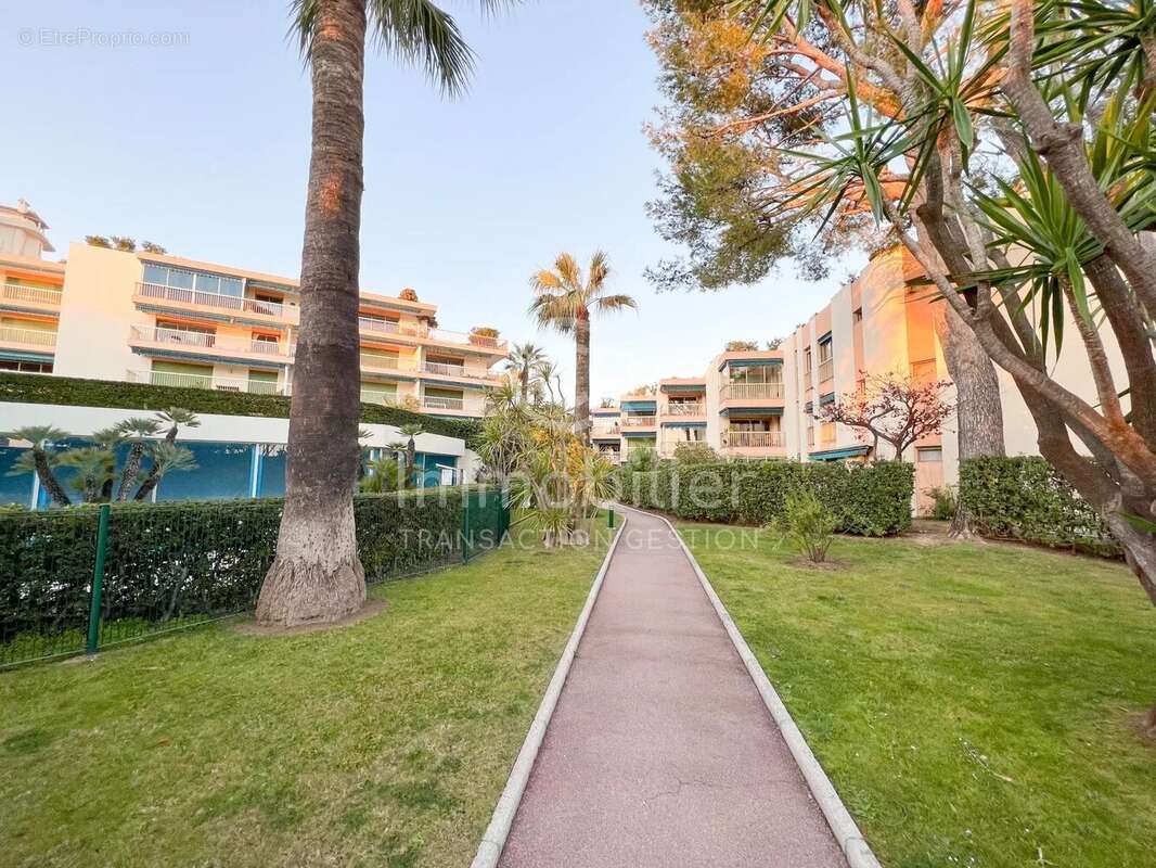 EXCLUSIVITE - Cannes - Bas Croix des Gardes - photo 23