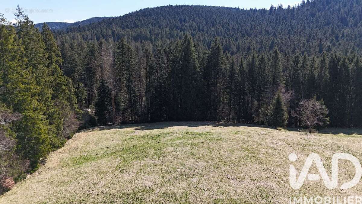 Photo 6 - Terrain à LIEZEY