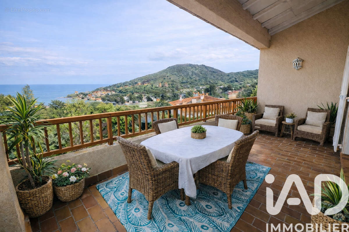 Photo 8 - Appartement à PORT-VENDRES