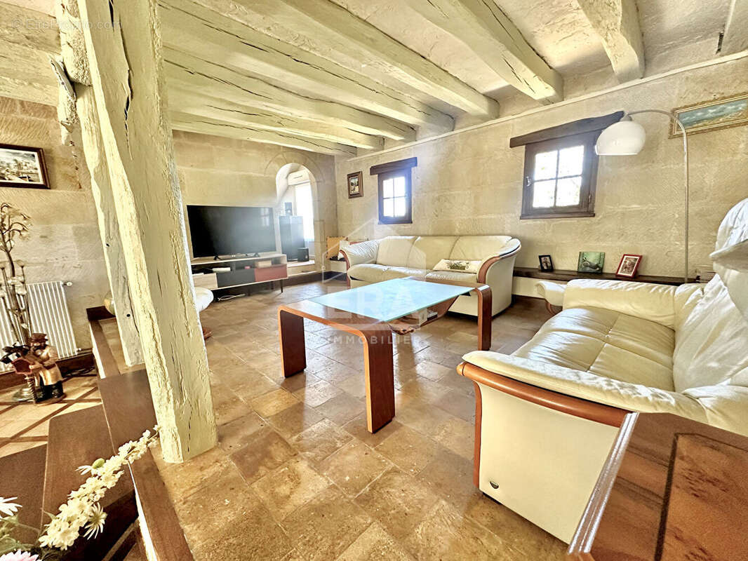 Maison 225m² à berthenay - photo 3