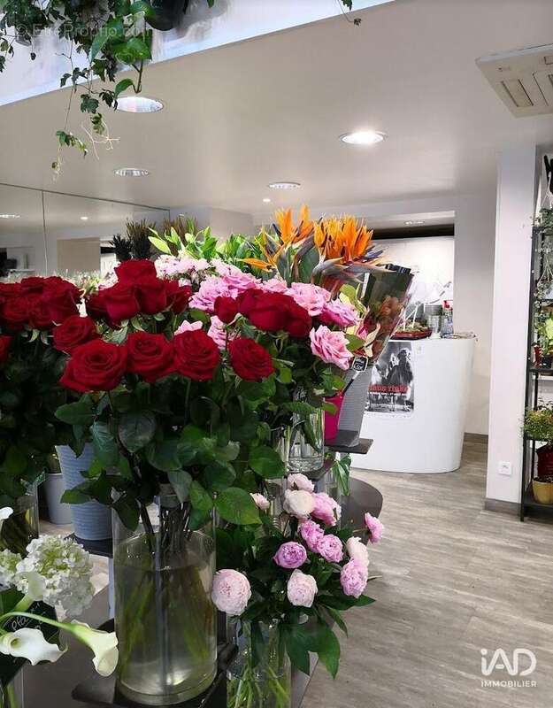 Photo 3 - Commerce à TOURS