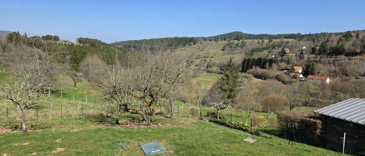 Maison à BOURG-BRUCHE