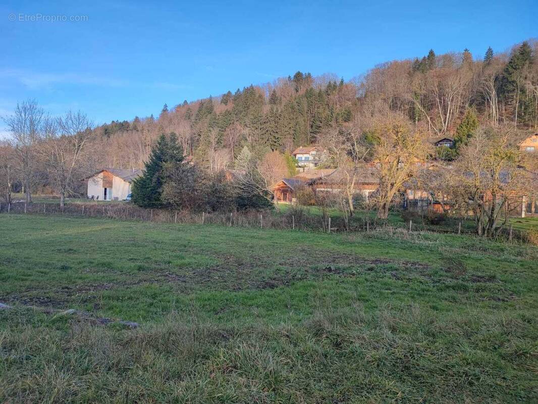 Terrain à CRANVES-SALES