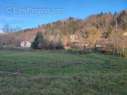 Terrain à CRANVES-SALES