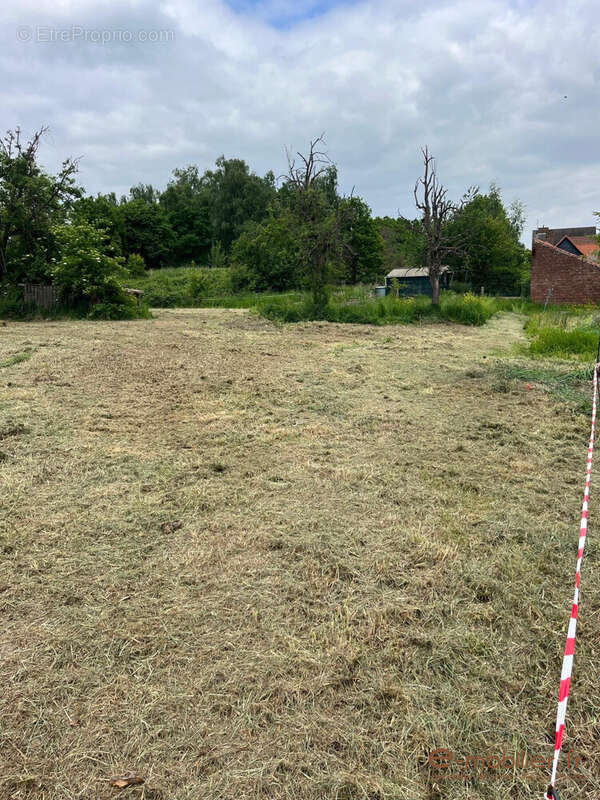 Terrain à MONCHEAUX