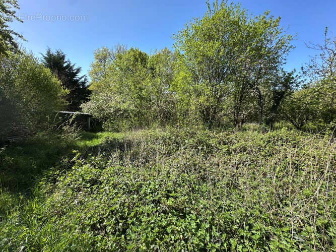 Maison à SAURET-BESSERVE