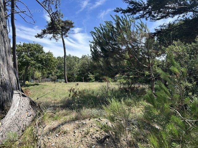 Terrain à SOULAC-SUR-MER