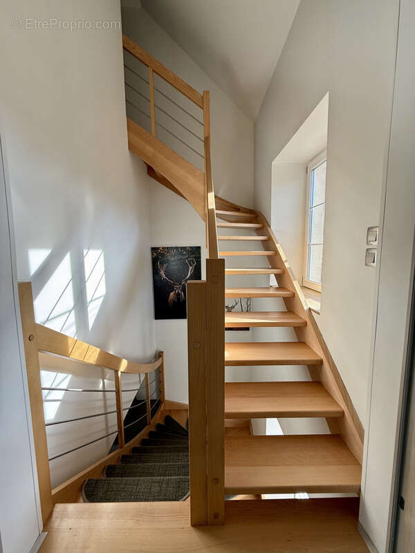 Maison à BASSEMBERG