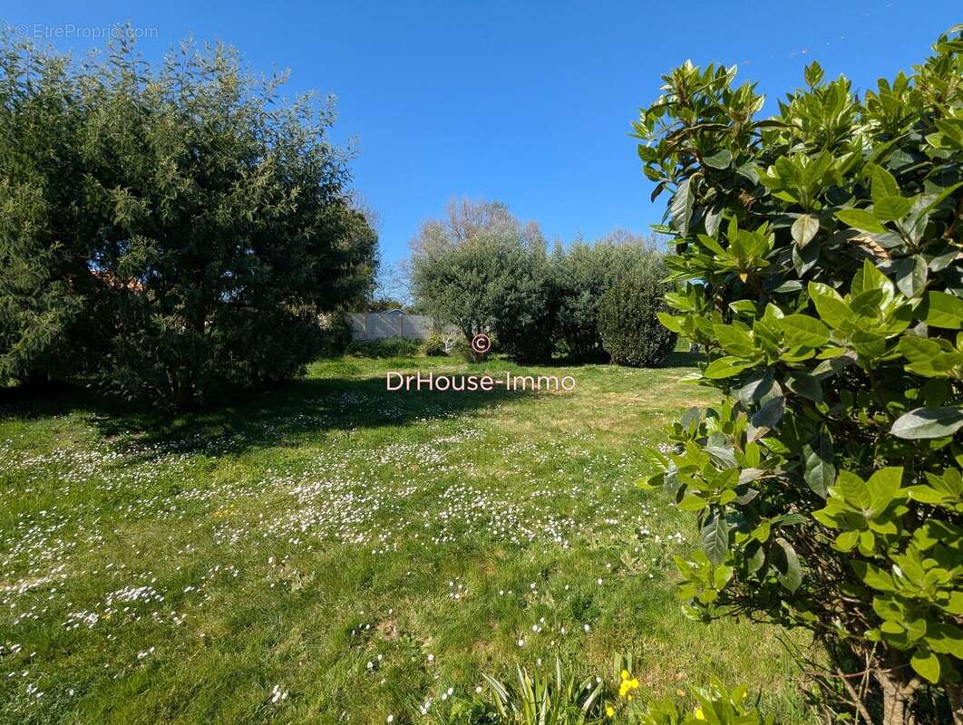 Terrain à L&#039;ILE-D&#039;OLONNE