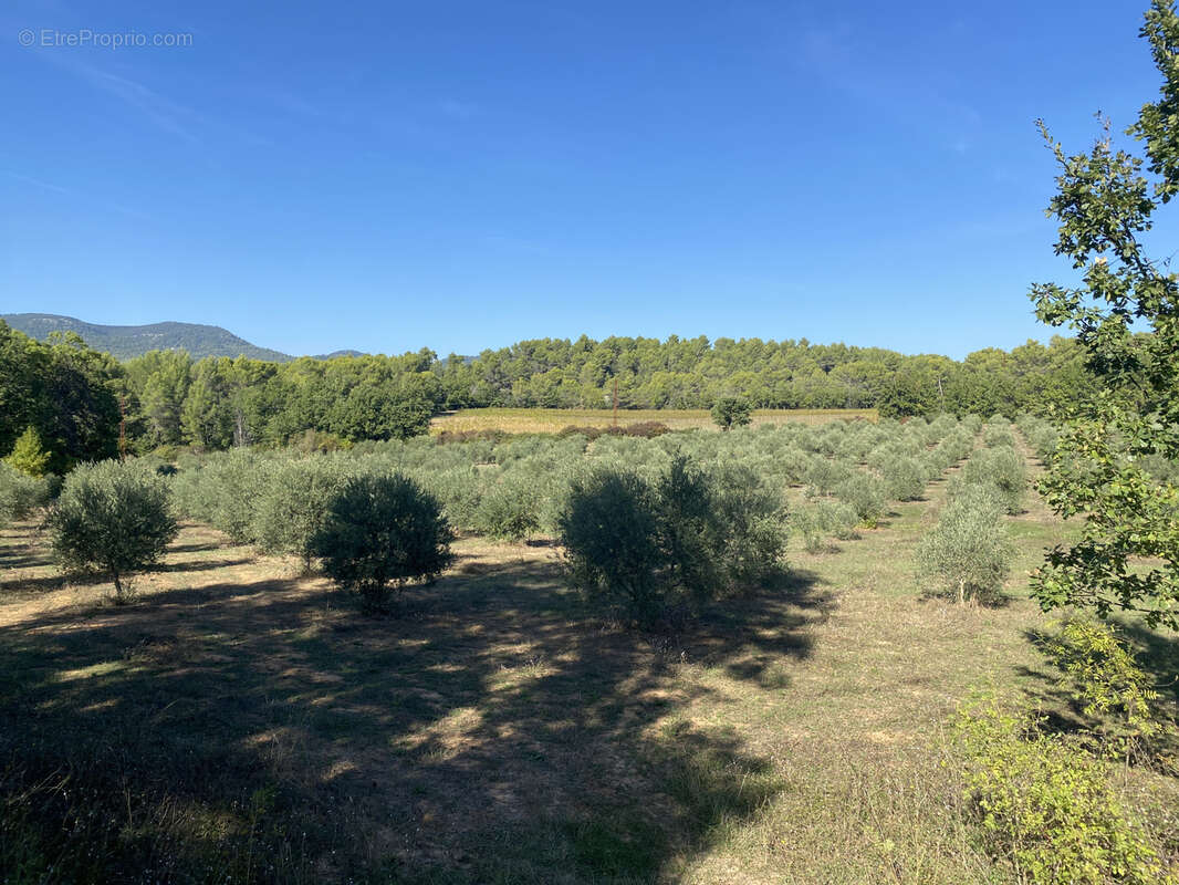 Autre à GRAMBOIS