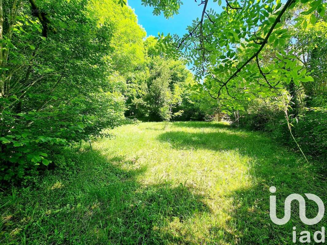 Photo 8 - Maison à ANGLES