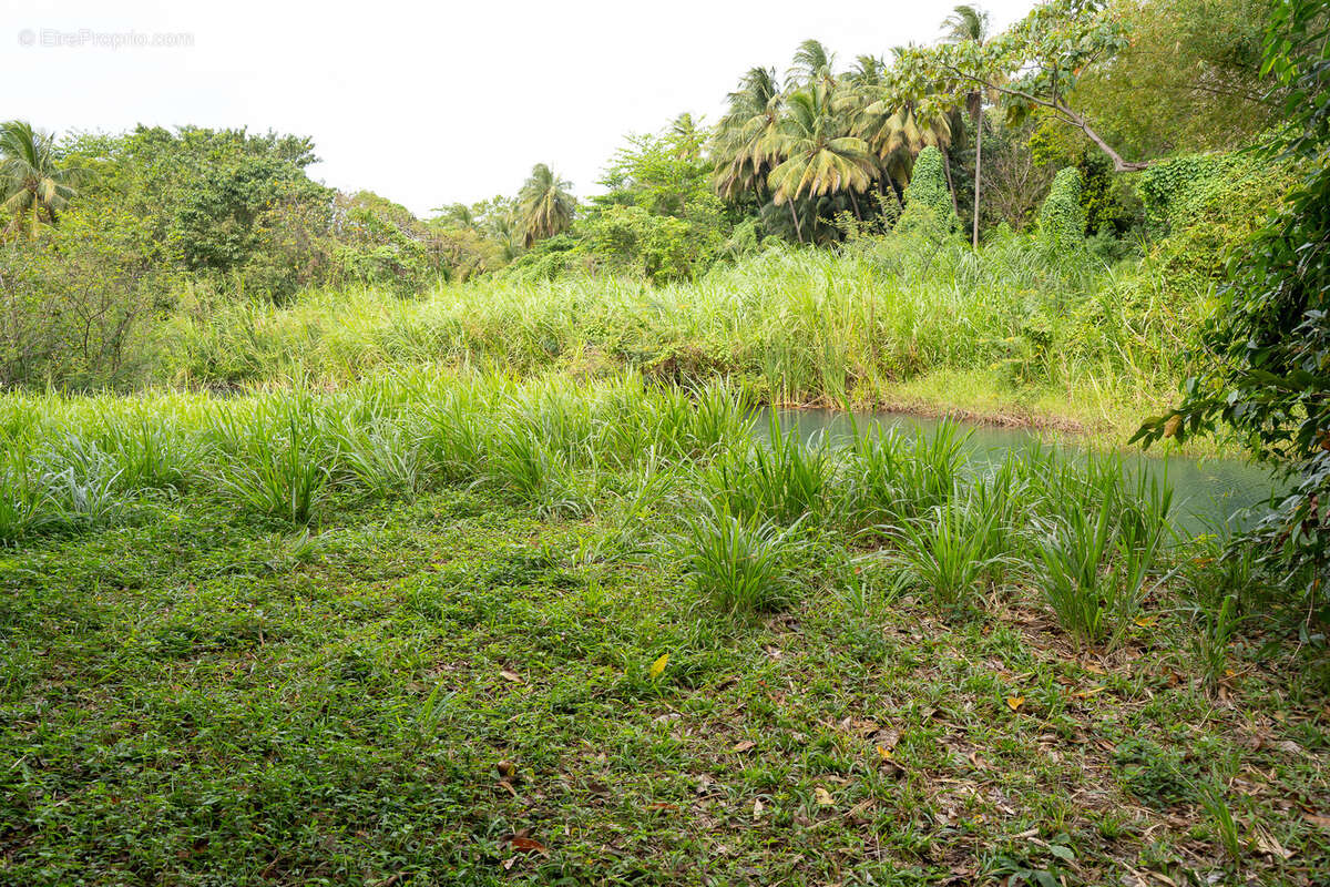 Terrain à POINTE-NOIRE