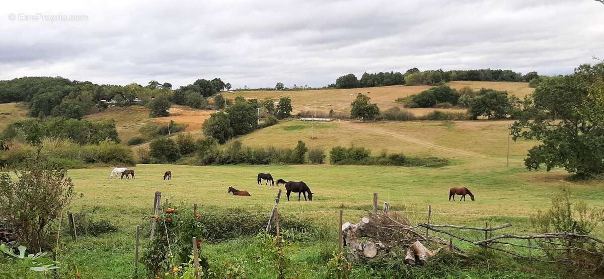 Maison à CASTELNAU-PICAMPEAU
