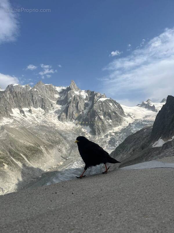 Commerce à CHAMONIX-MONT-BLANC