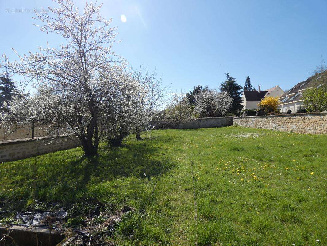 Terrain 738 m² à Vaureal  - photo 3