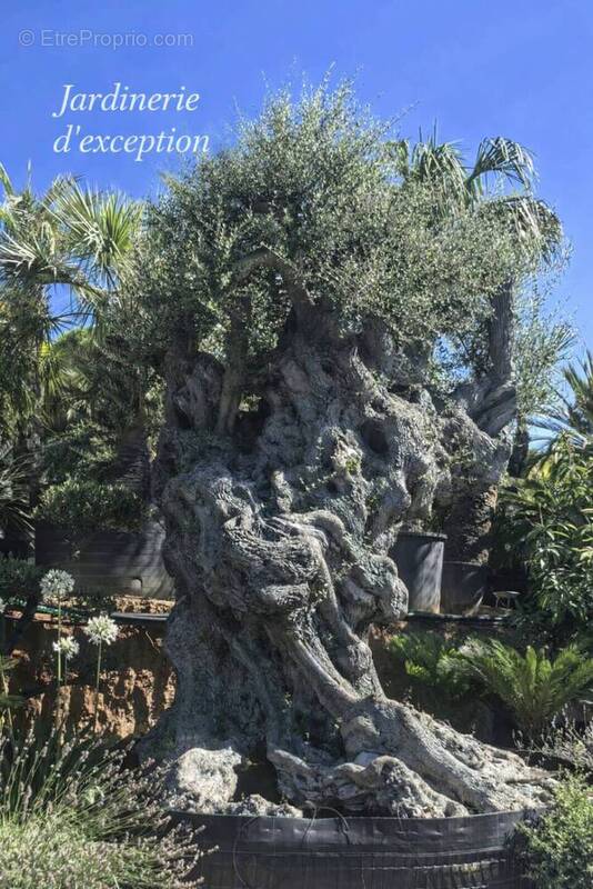 Autre à SAINTE-MAXIME