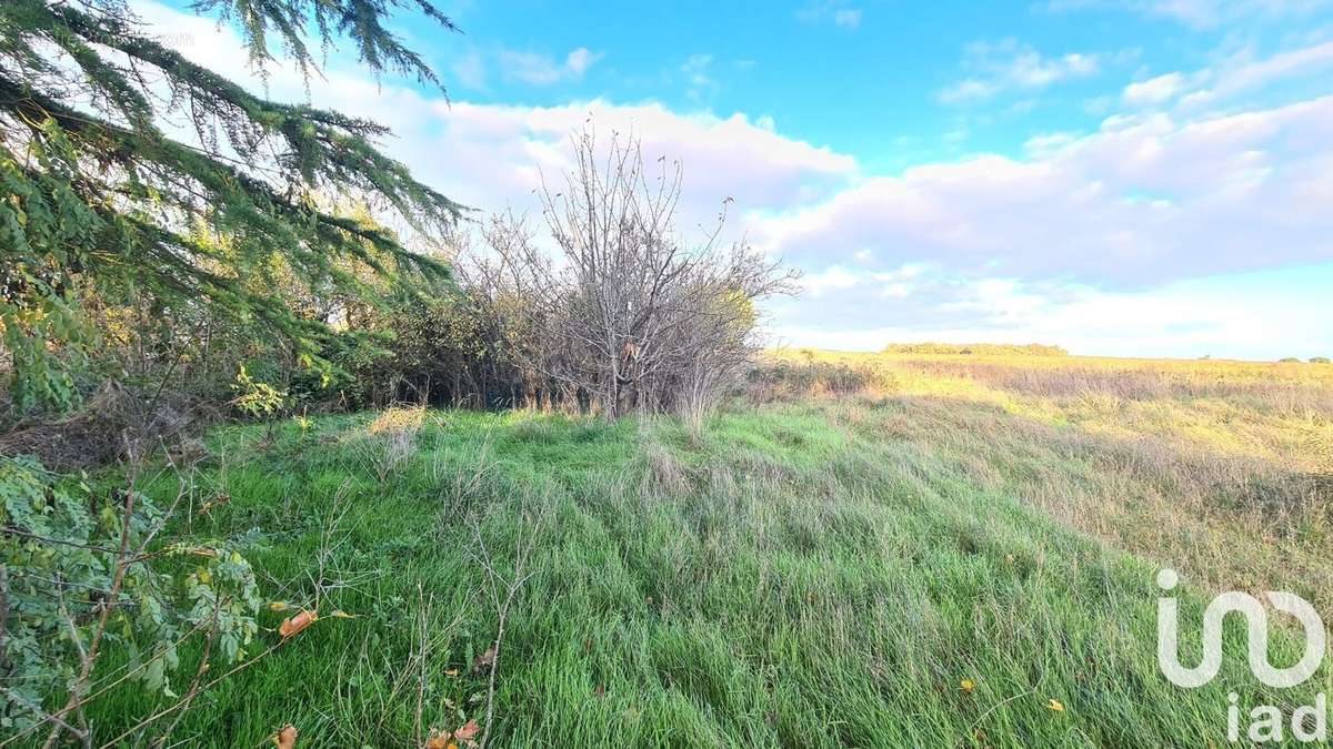 Photo 3 - Terrain à JAUNAY-CLAN