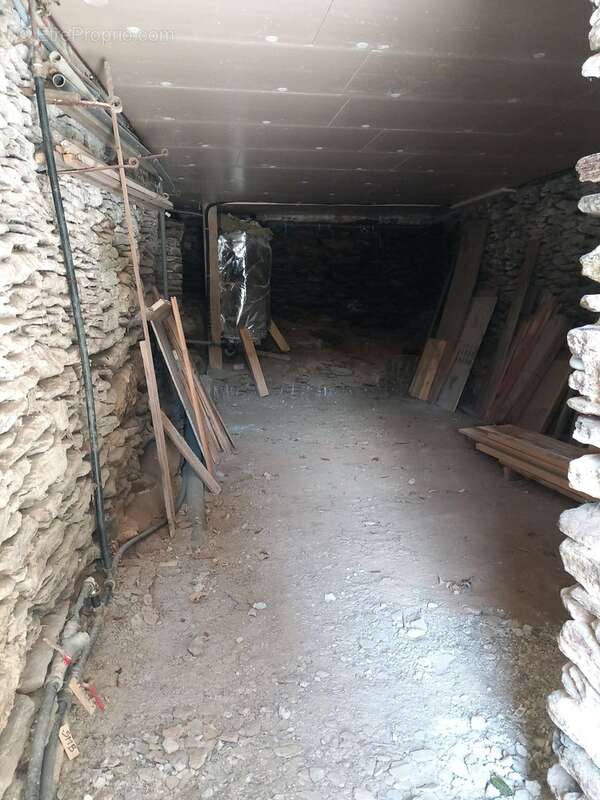 Maison de hameau saint martin de boubaux (48) - photo 19