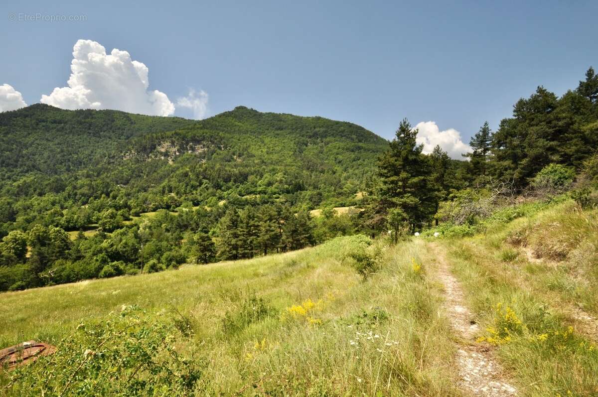 Dpt Alpes de Haute Provence (04), à vendre Proche ENTREVAUX Maison atypique sur 4 hectares, Vue panoramique - photo 11