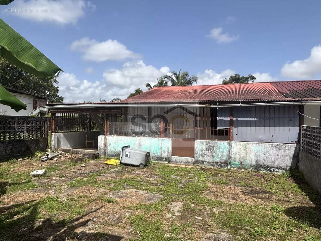 Maison à CAYENNE