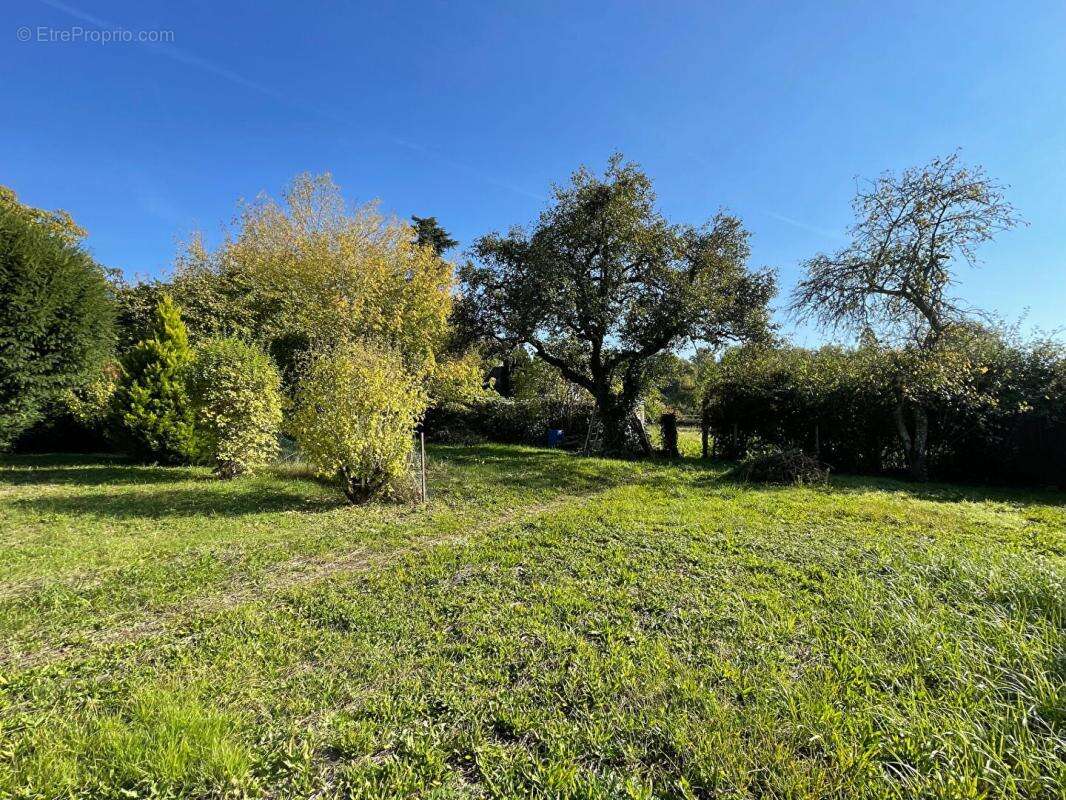Maison à VITRY-AUX-LOGES